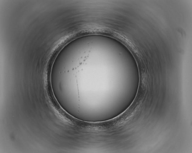 X0000111130629200906301211
