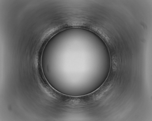 X0000111130631200906301211