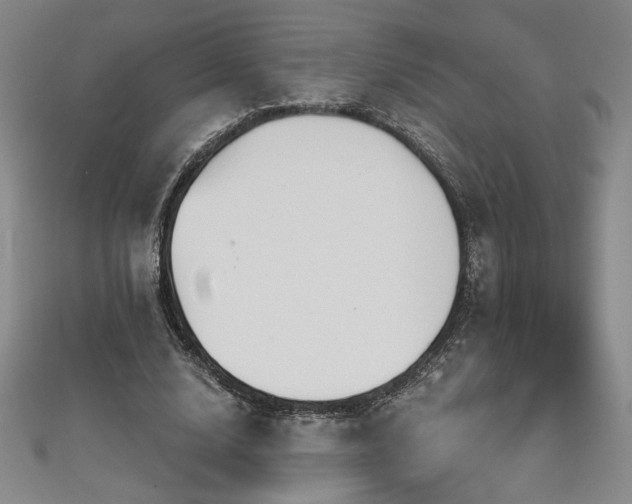 X0000111130632200906301211