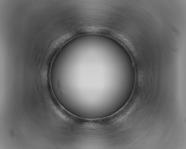 X0000111130633200906301211