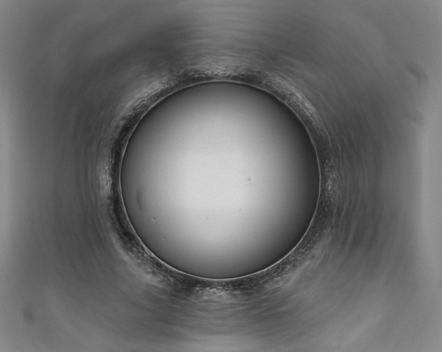 X0000111130635200906301211