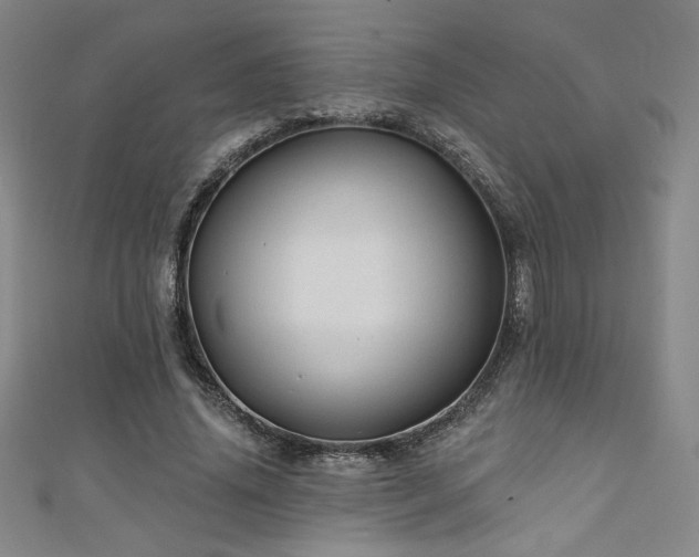X0000111130636200906301211