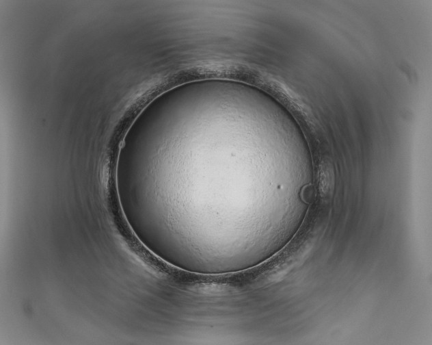 X0000111130637200906301211