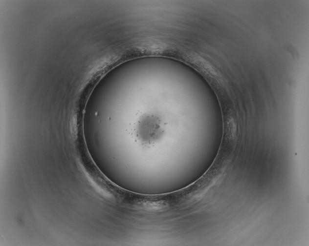 X0000111130638200906301211