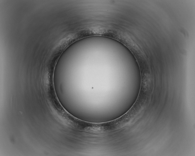 X0000111130639200906301211
