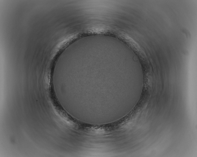 X0000111130640200906301211