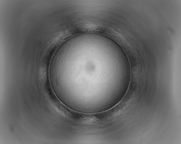 X0000111130642200906301211