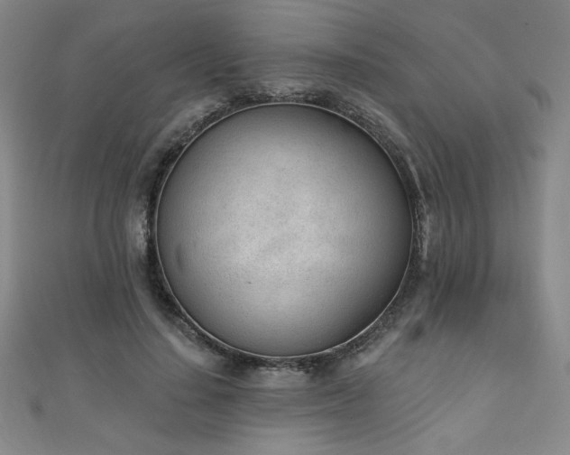 X0000111130644200906301211