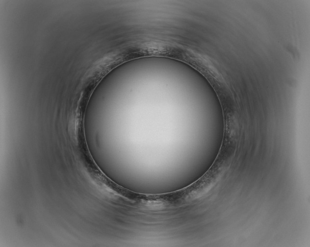 X0000111130645200906301211