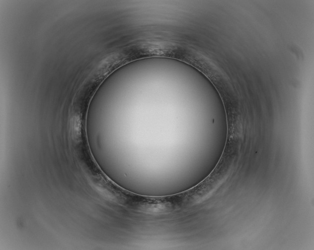 X0000111130646200906301211