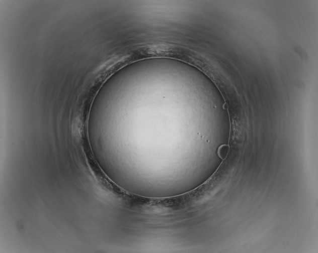 X0000111130648200906301211