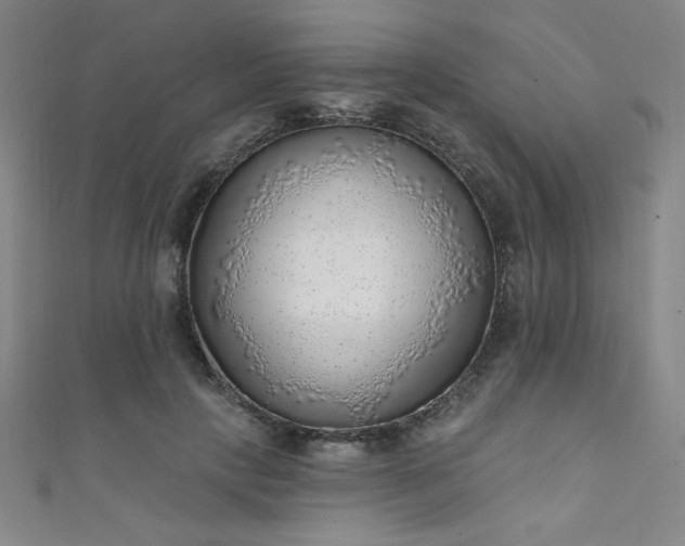 X0000111130649200906301211