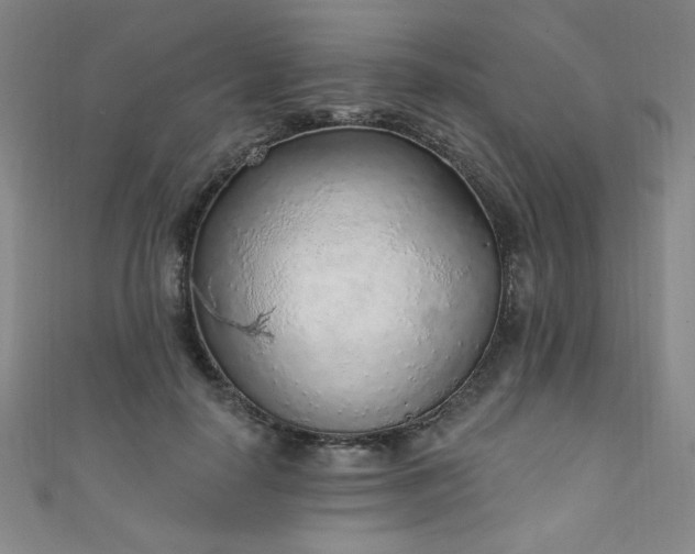 X0000111130650200906301211