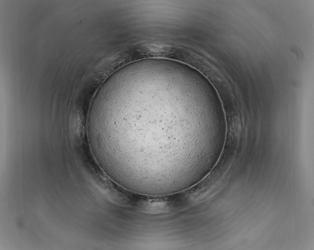 X0000111130651200906301211