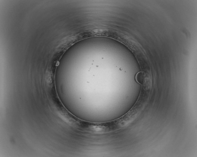 X0000111130654200906301211