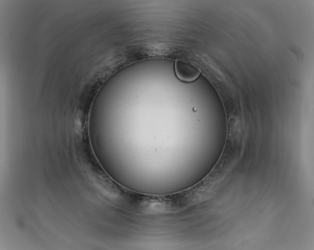 X0000111130655200906301211