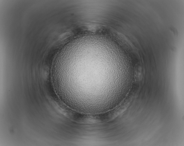 X0000111130656200906301211