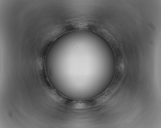 X0000111130658200906301211