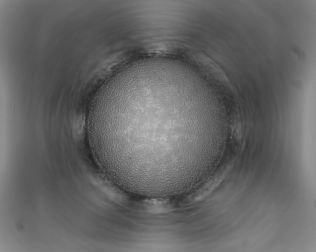 X0000111130660200906301211