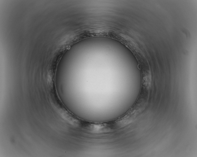 X0000111130662200906301211