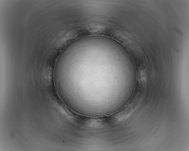 X0000111130664200906301211