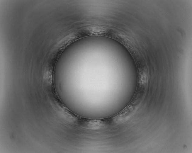 X0000111130666200906301211