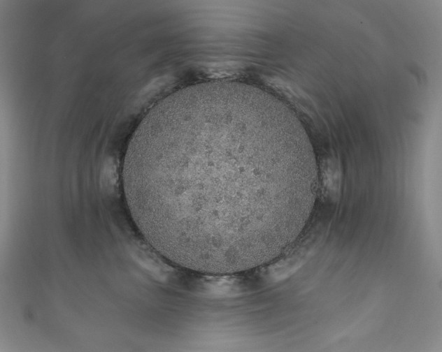 X0000111130667200906301211