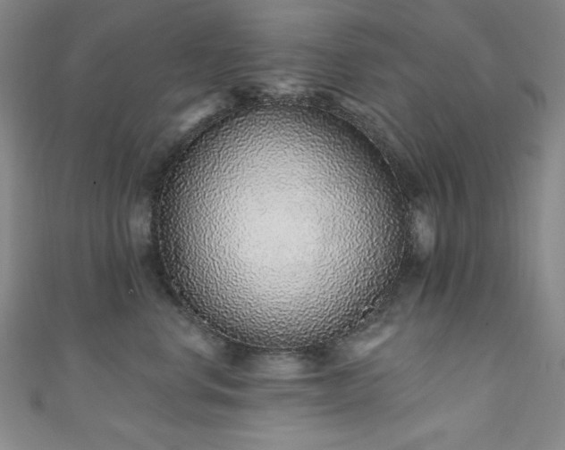 X0000111130668200906301211