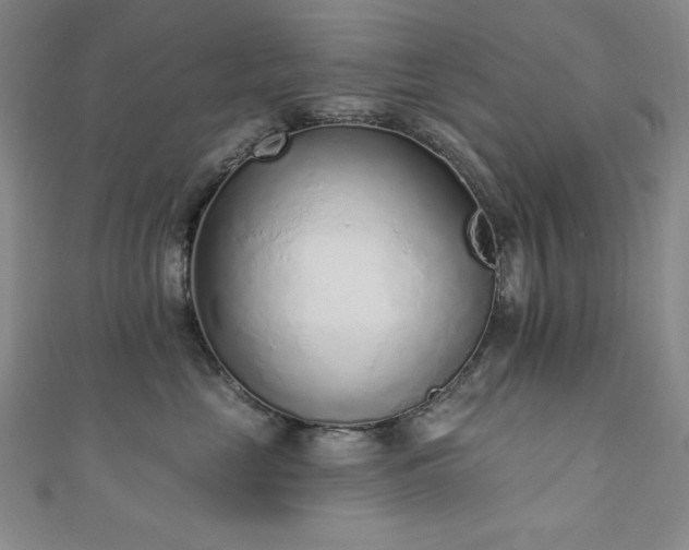 X0000111130669200906301211