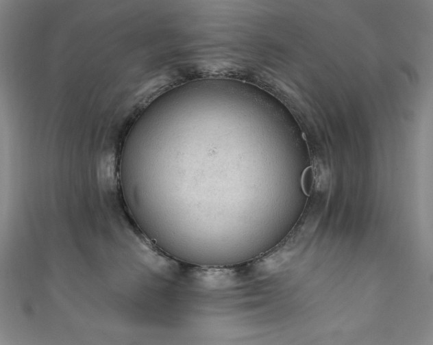 X0000111130670200906301211