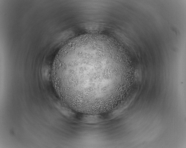X0000111130671200906301211