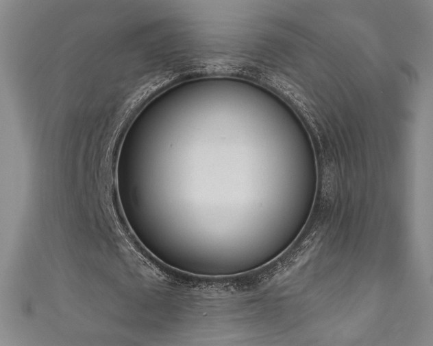 X0000111130673200906301211