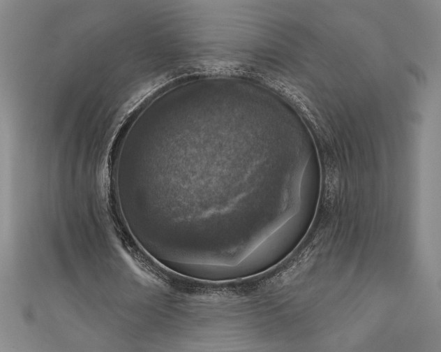 X0000111130674200906301211