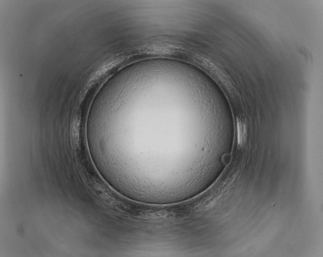X0000111130675200906301211