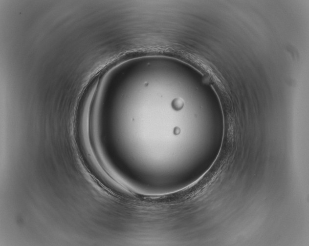 X0000111130677200906301211