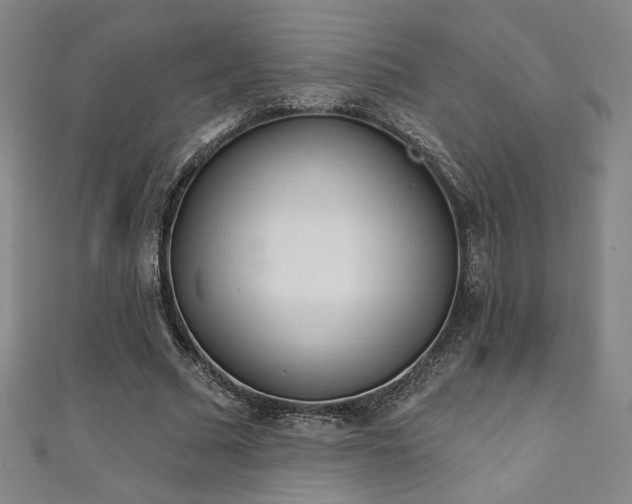 X0000111130681200906301211
