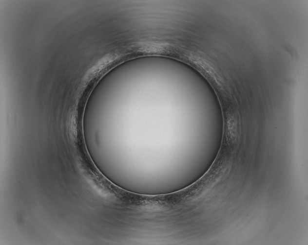 X0000111130682200906301211