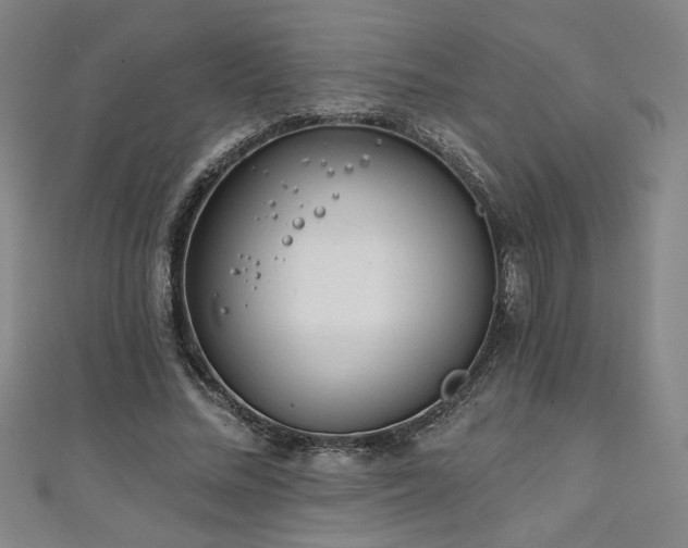 X0000111130684200906301210