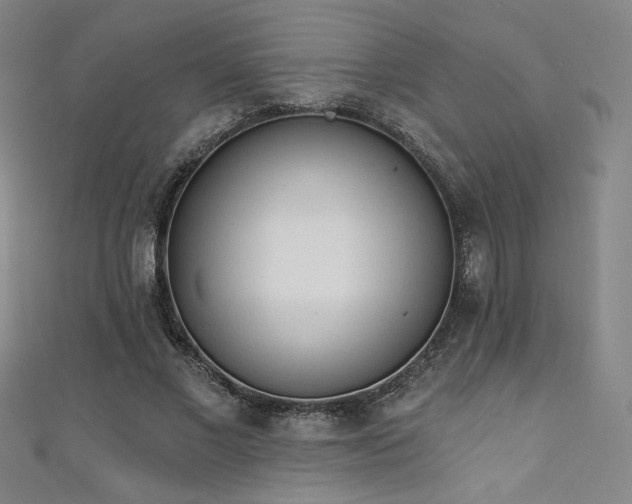 X0000111130685200906301210