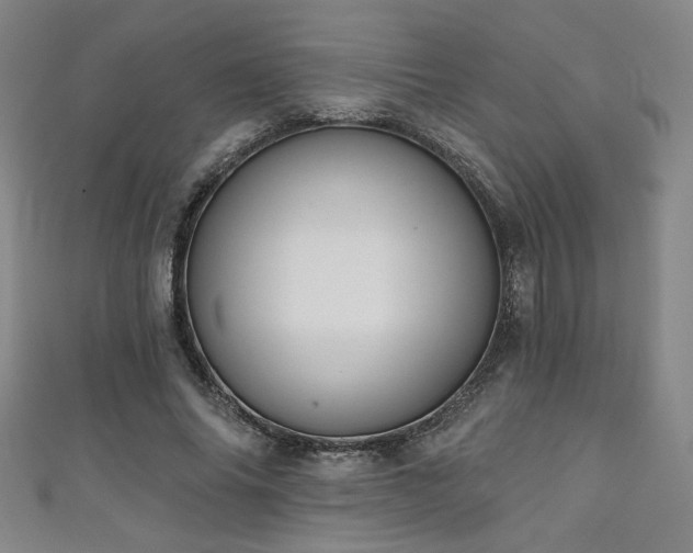 X0000111130686200906301210
