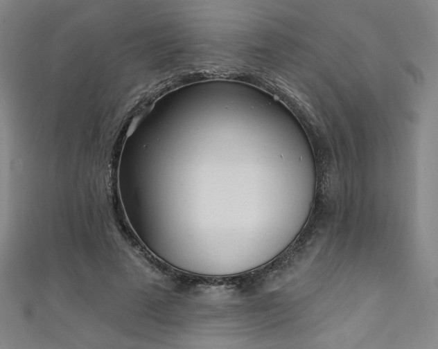 X0000111130689200906301210