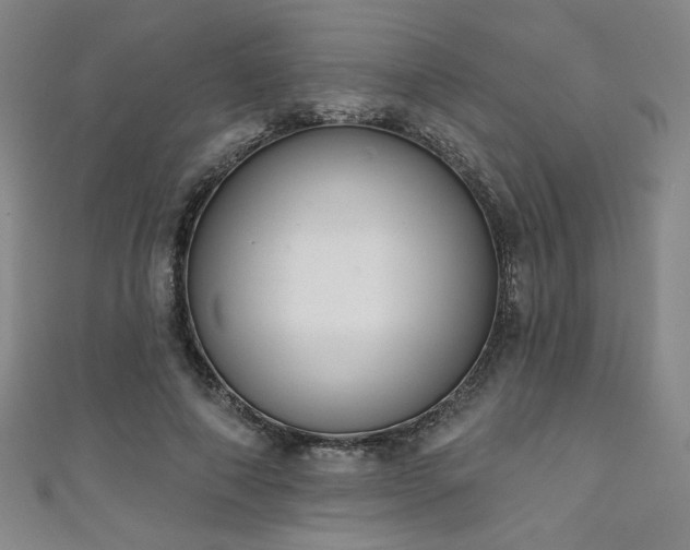 X0000111130690200906301210