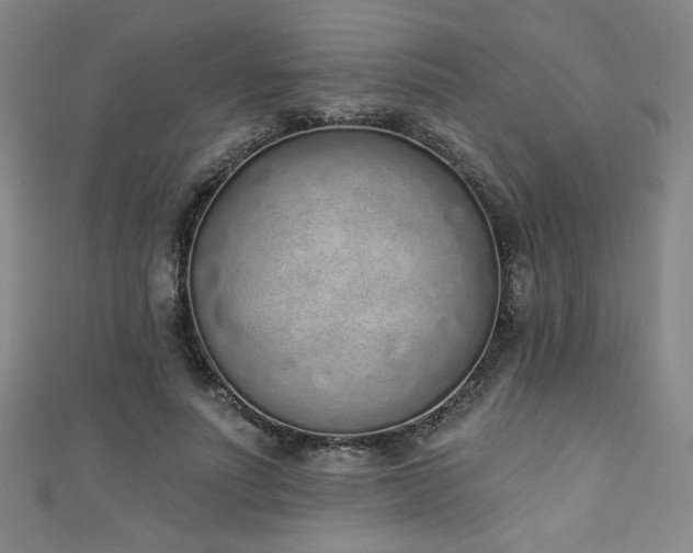 X0000111130691200906301210