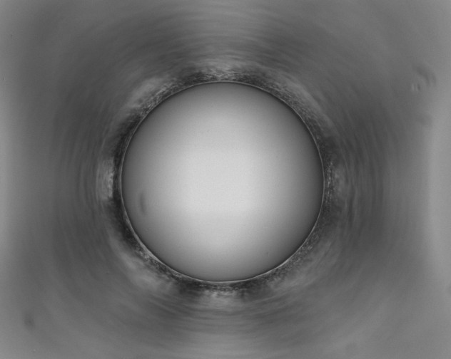 X0000111130694200906301210