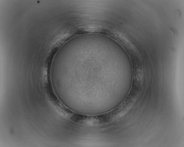 X0000111130696200906301210