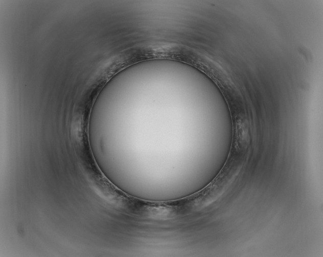 X0000111130698200906301210