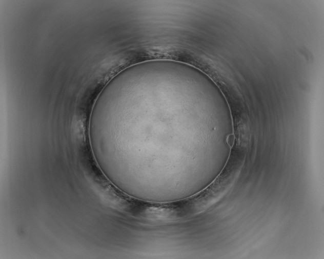 X0000111130699200906301210