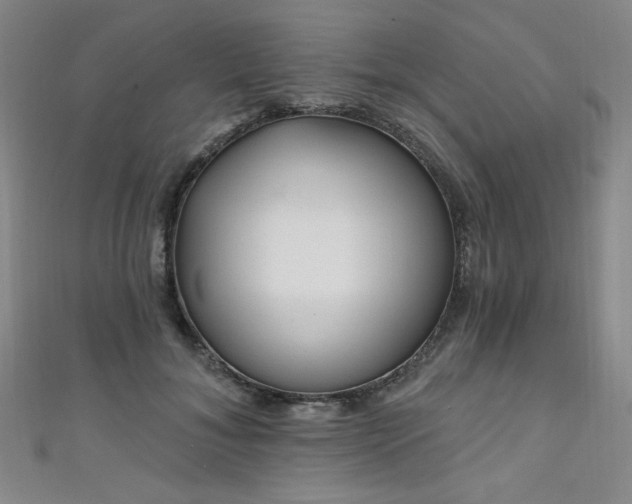 X0000111130700200906301210