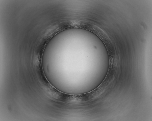 X0000111130702200906301210