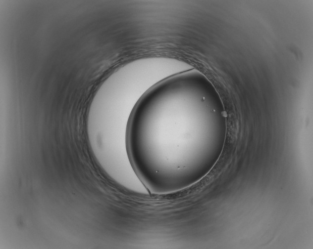 X0000111130704200906301210